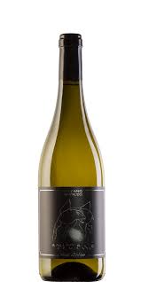 SANTA BARBARA Animale celeste 2021
Sauvignon